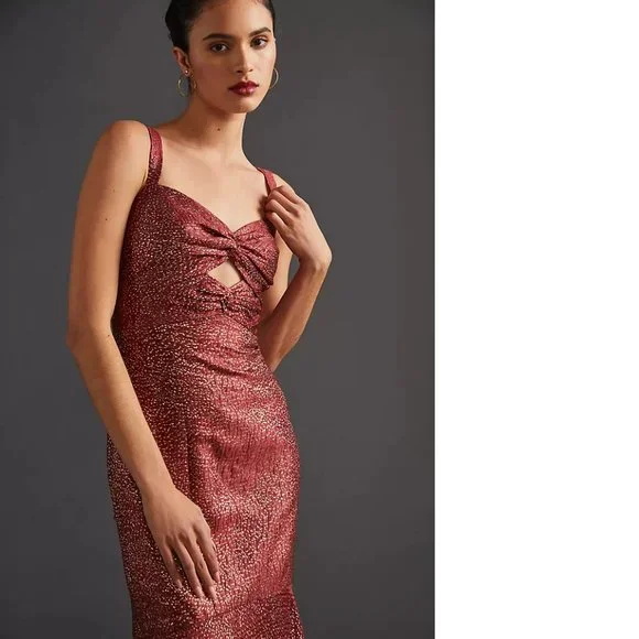 ML Monique Lhuillier Flounced Maxi Dress size 2p new with tag - Picture 3 of 9